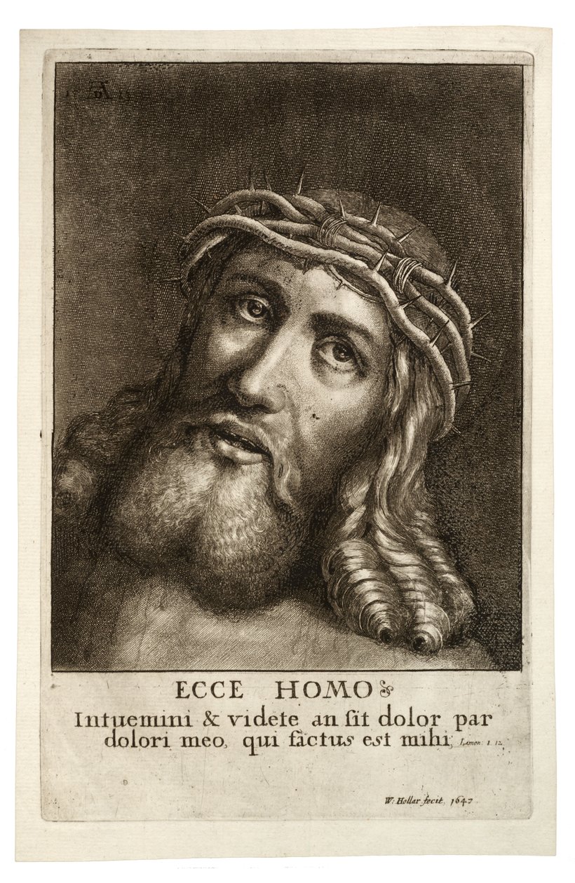 Ecce Homo. Tila 2 tekijältä Wenceslaus Hollar