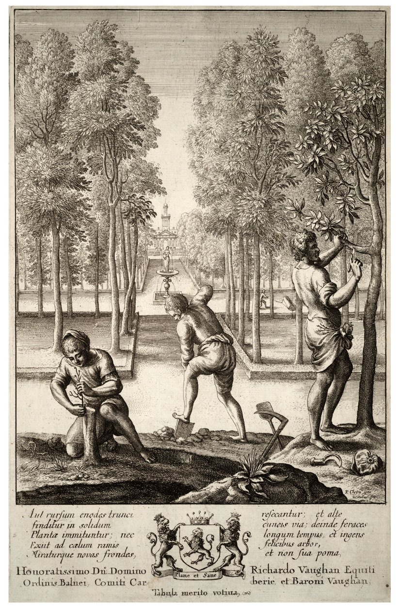 Puutarhanhoito. Valtio 1 tekijältä Wenceslaus Hollar