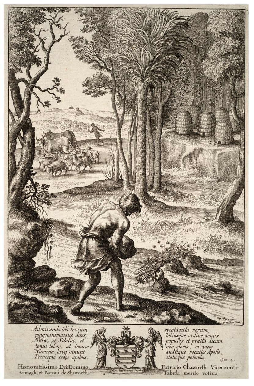 Mehiläisten pesä. Tila 1 tekijältä Wenceslaus Hollar