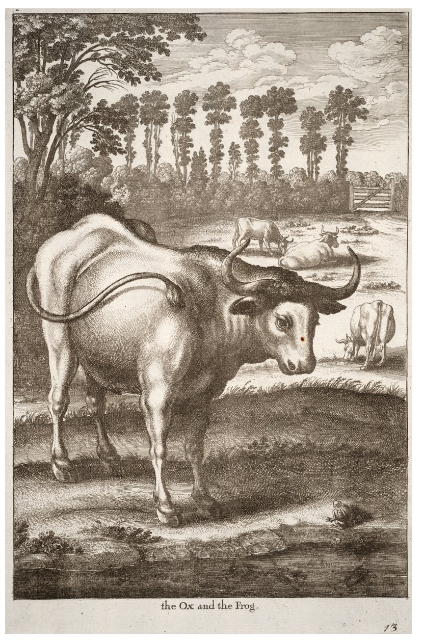 Härkä ja sammakko tekijältä Wenceslaus Hollar