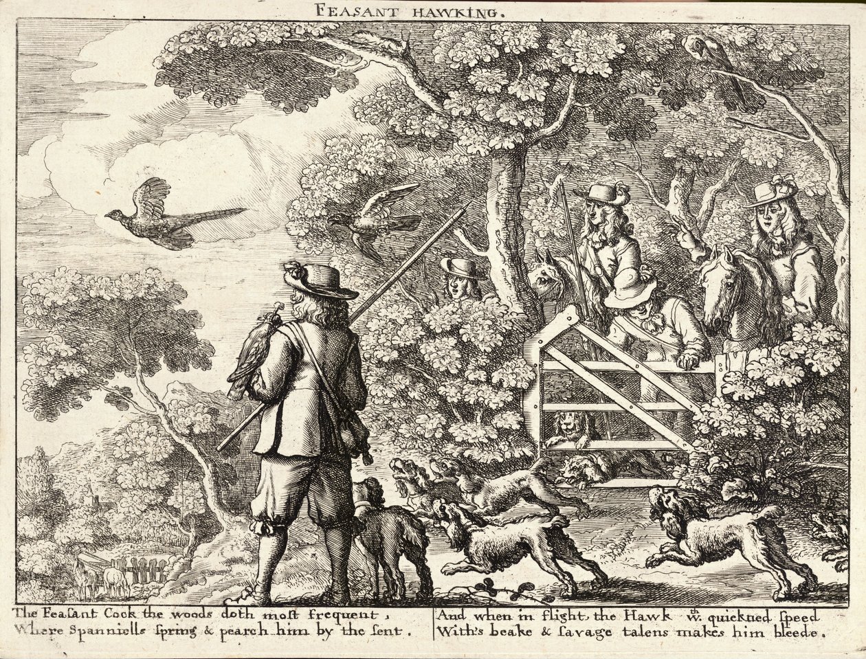 Fasaanin haukkuminen tekijältä Wenceslaus Hollar