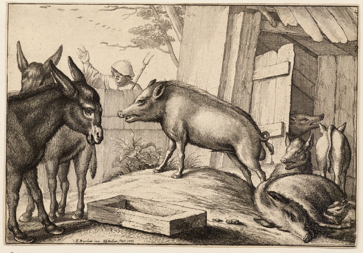 Siat ja aasit tekijältä Wenceslaus Hollar