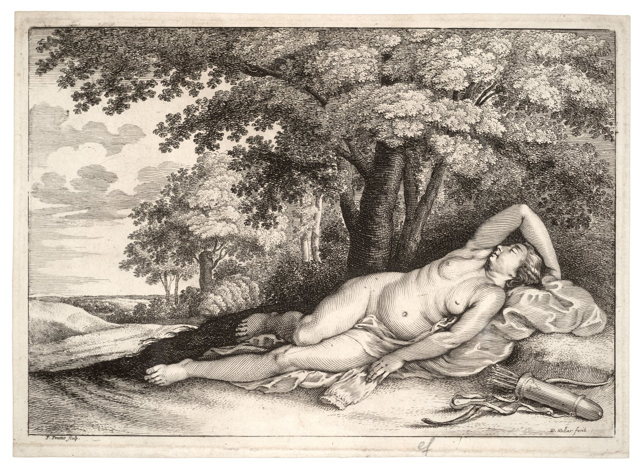 Nukkuva metsästäjä. Valtio 2 tekijältä Wenceslaus Hollar