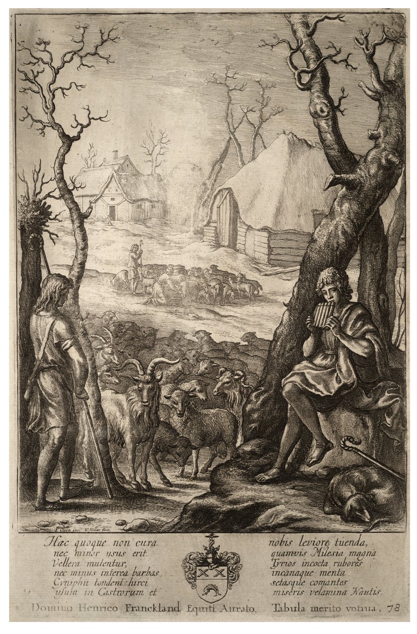 Karjanjalostus. Tila 3 tekijältä Wenceslaus Hollar
