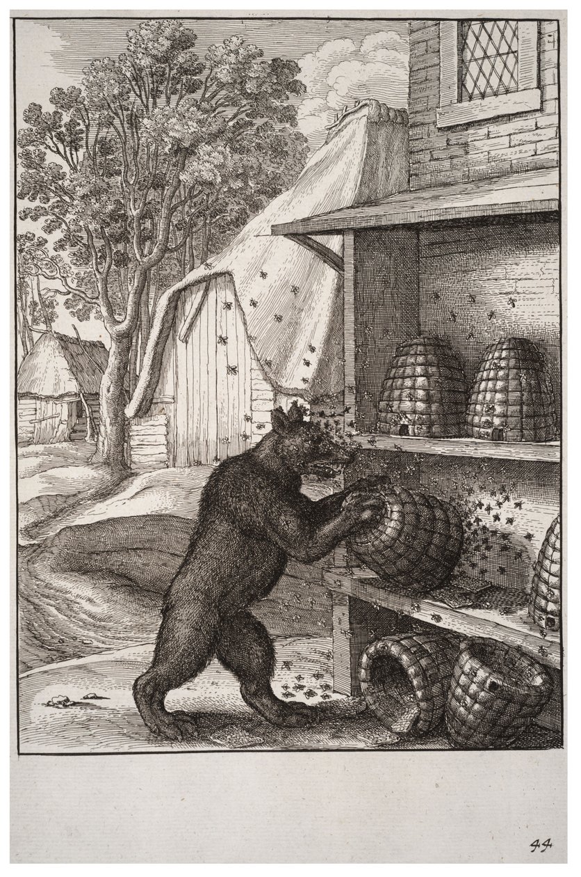 Karhu ja hunaja tekijältä Wenceslaus Hollar