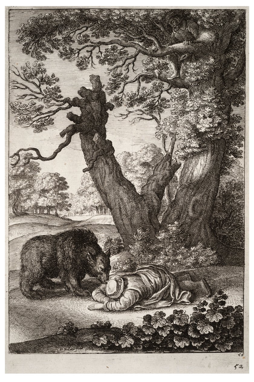 Metsät ja karhu. Tila 1 tekijältä Wenceslaus Hollar