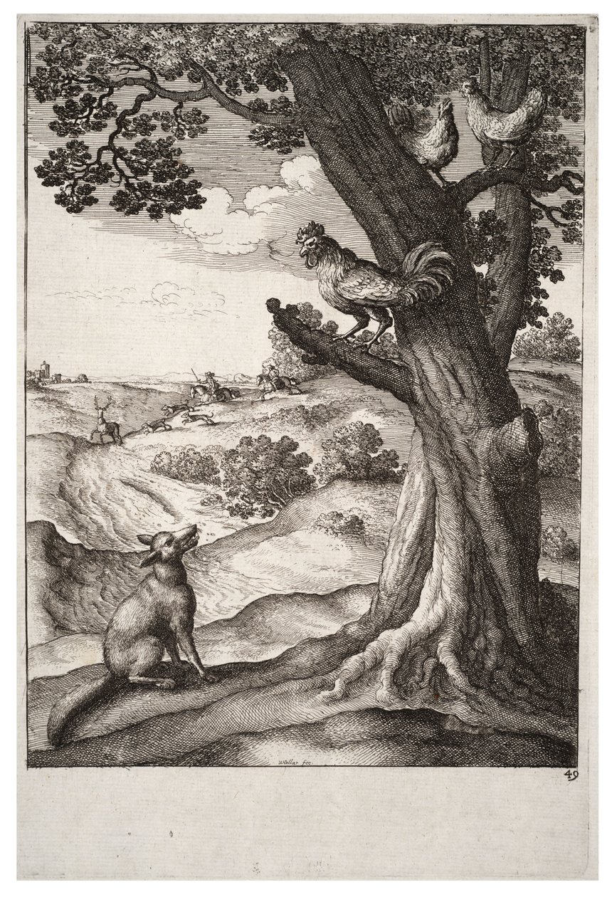 Kettu ja kukko tekijältä Wenceslaus Hollar