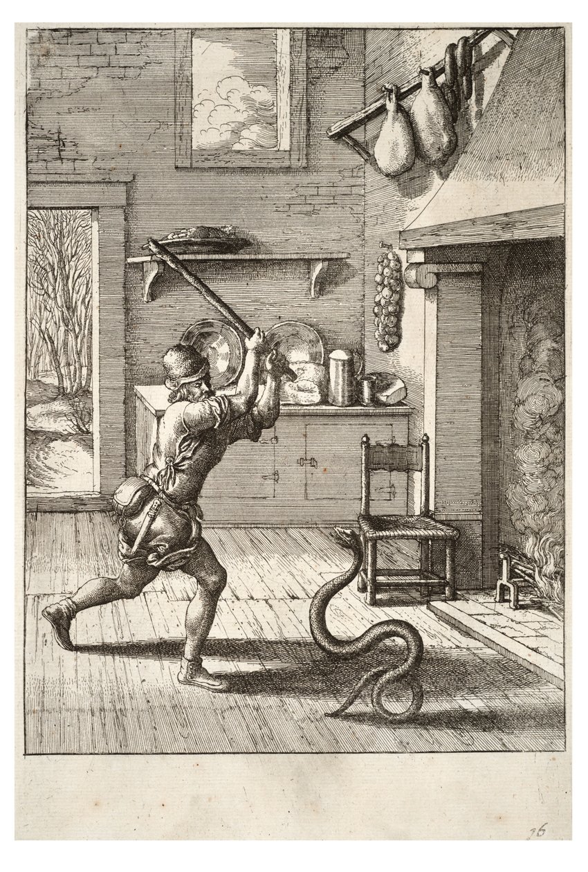 Mies ja käärme tekijältä Wenceslaus Hollar