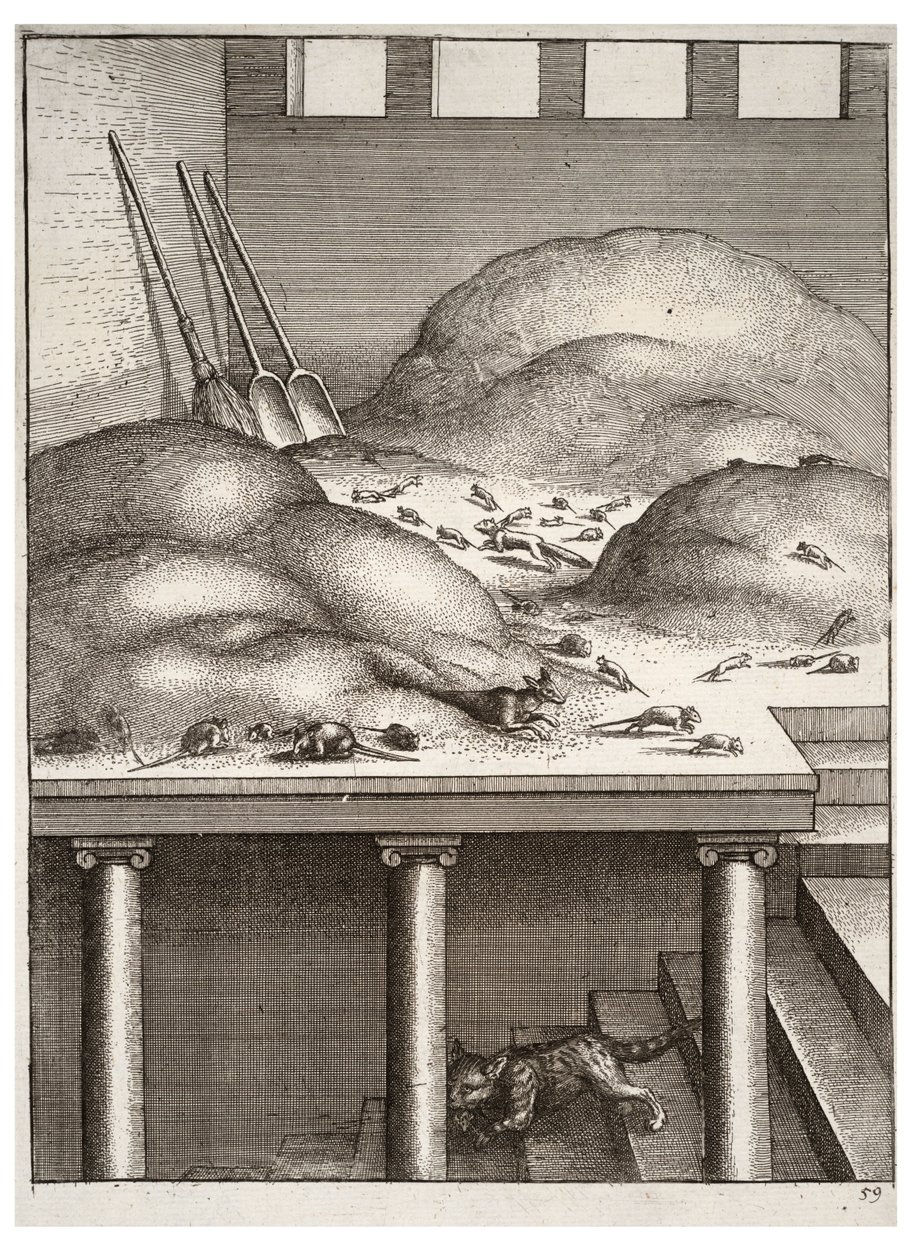 Vanha näätä ja hiiret tekijältä Wenceslaus Hollar