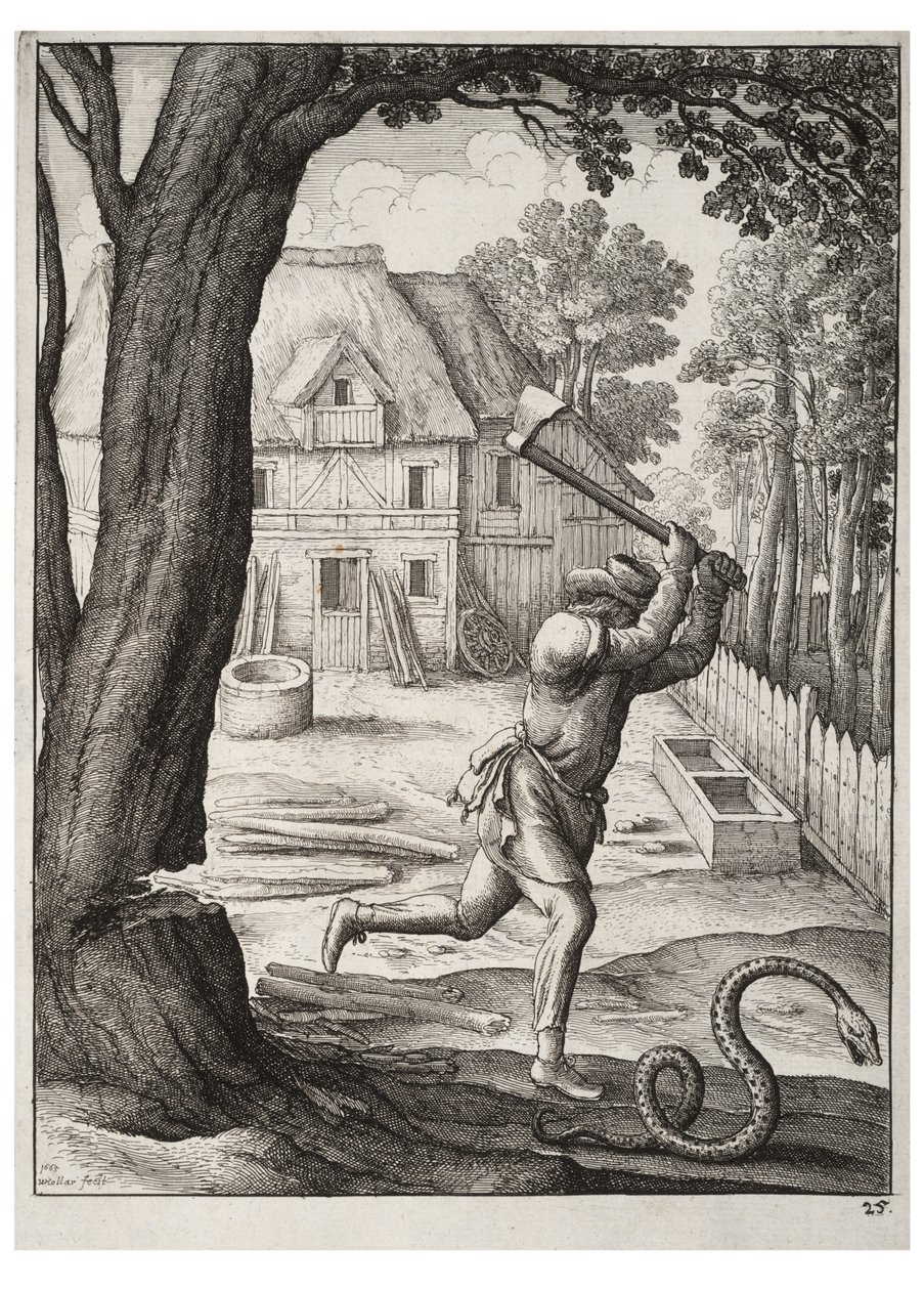 Talonpoika ja käärme tekijältä Wenceslaus Hollar