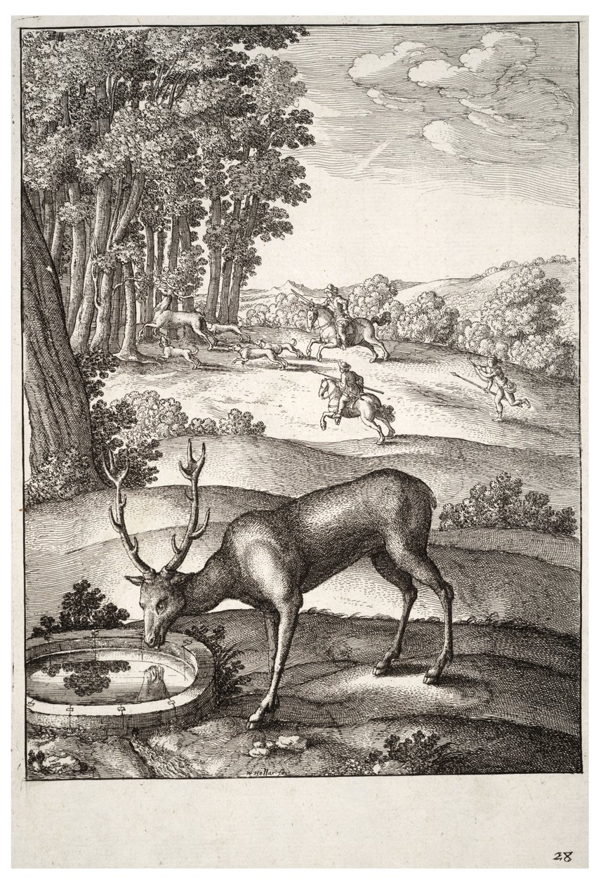 Polttarit Tila 2 tekijältä Wenceslaus Hollar