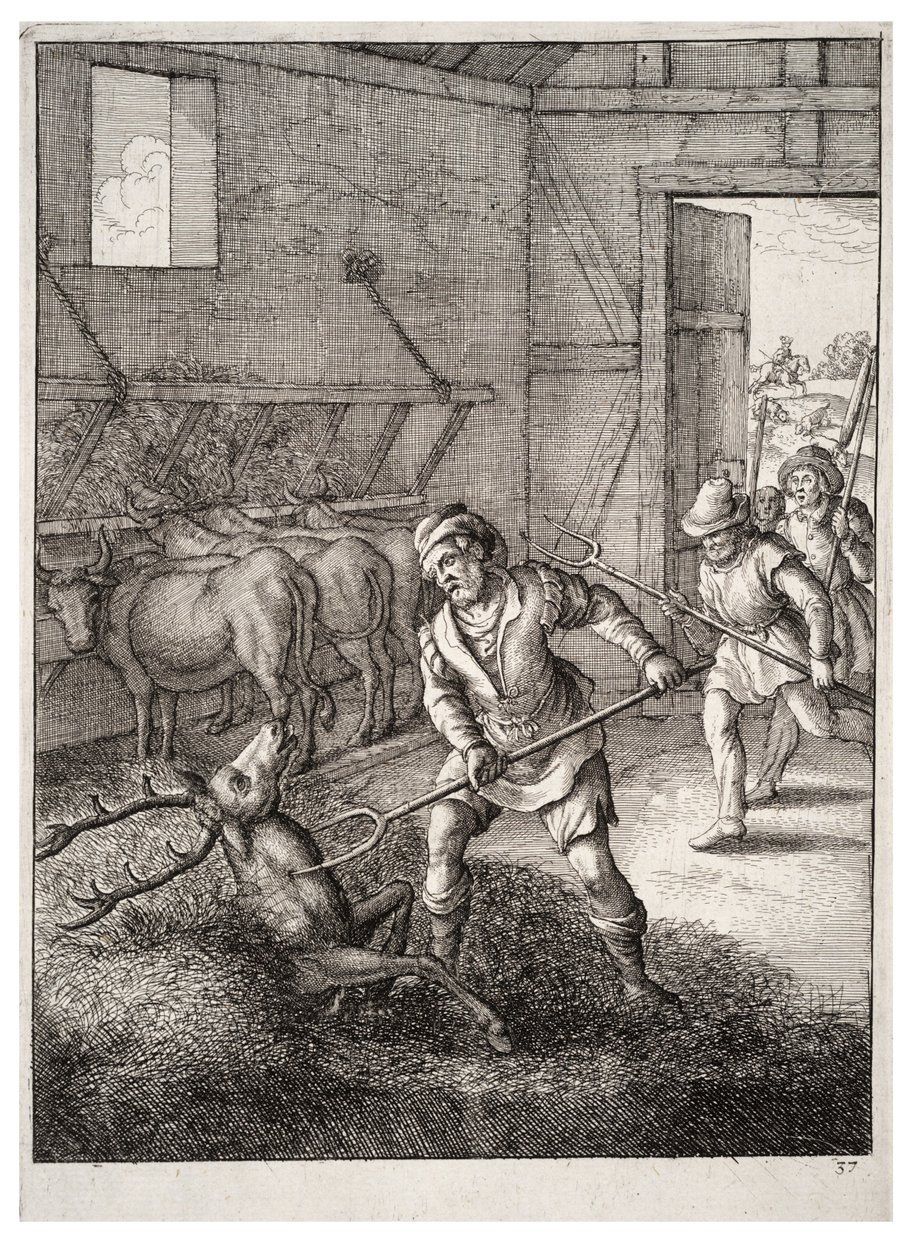 Polttarit lehmän aidassa tekijältä Wenceslaus Hollar
