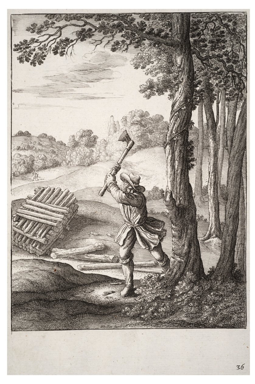 Puumies tekijältä Wenceslaus Hollar