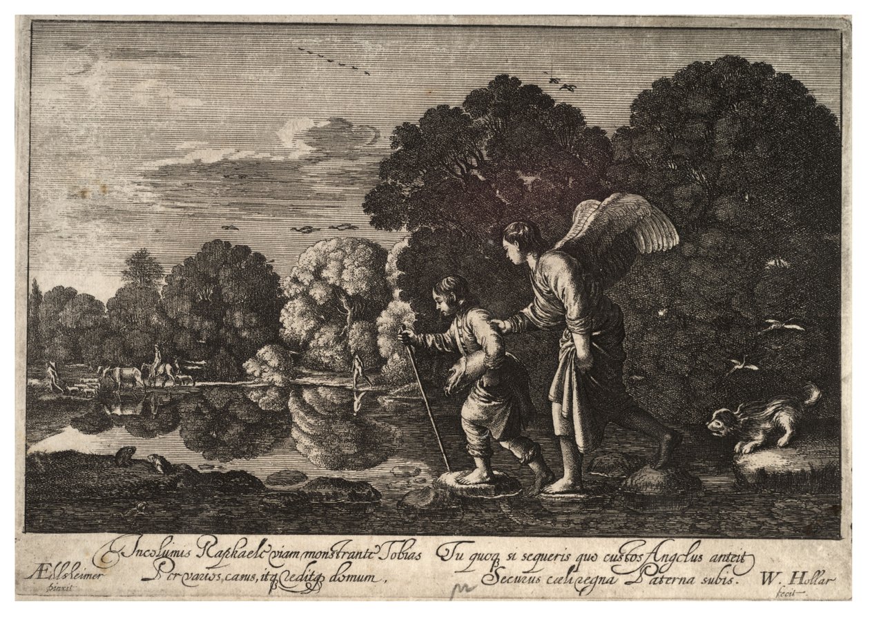Tobias ja enkeli. Tila 2 tekijältä Wenceslaus Hollar