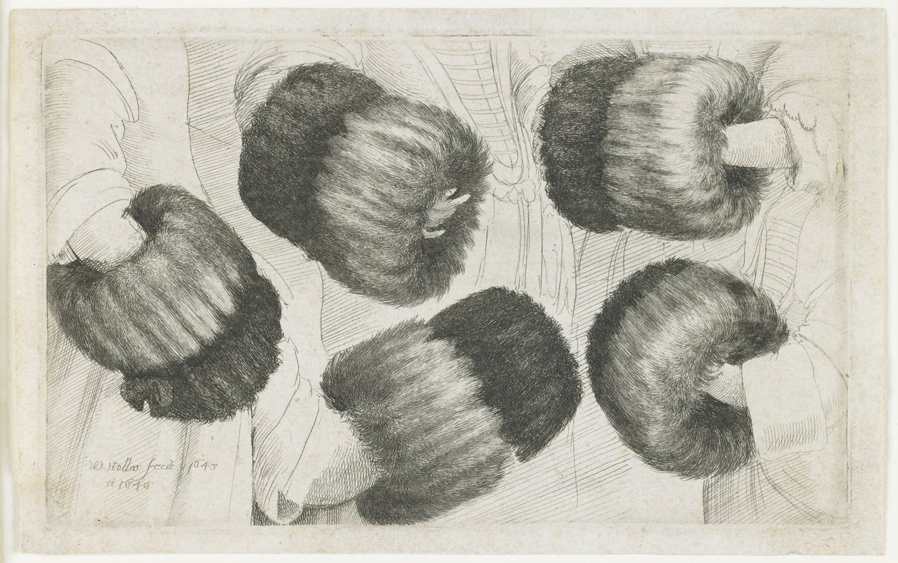 Muff viidessä kuvassa, 1645-1646 tekijältä Wenceslaus Hollar