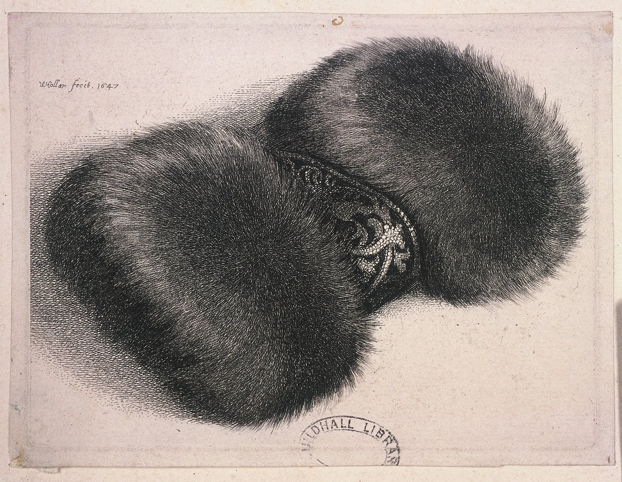 Suuri muhvi brokaattinauhalla, 1647 tekijältä Wenceslaus Hollar