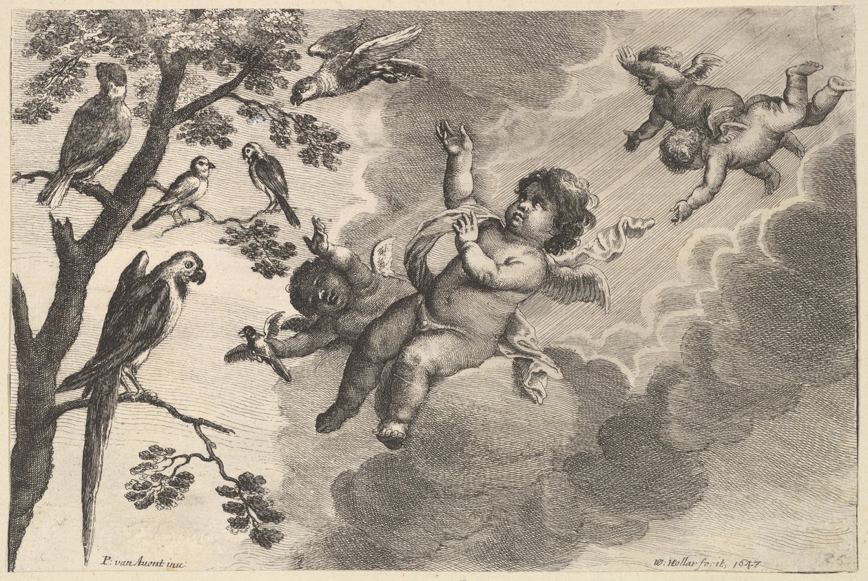 Air The Four Elements, n. 1647. tekijältä Wenceslaus Hollar