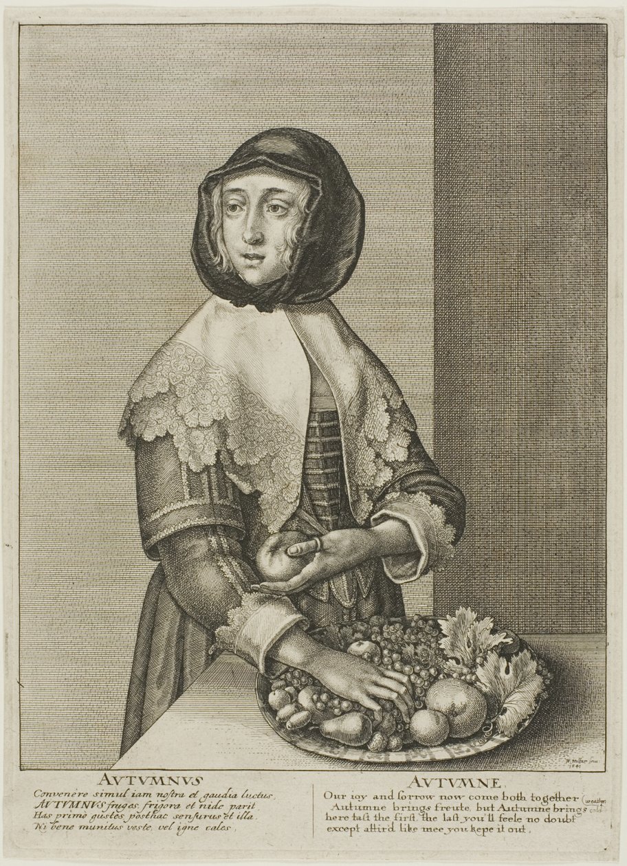 Syksy tekijältä Wenceslaus Hollar