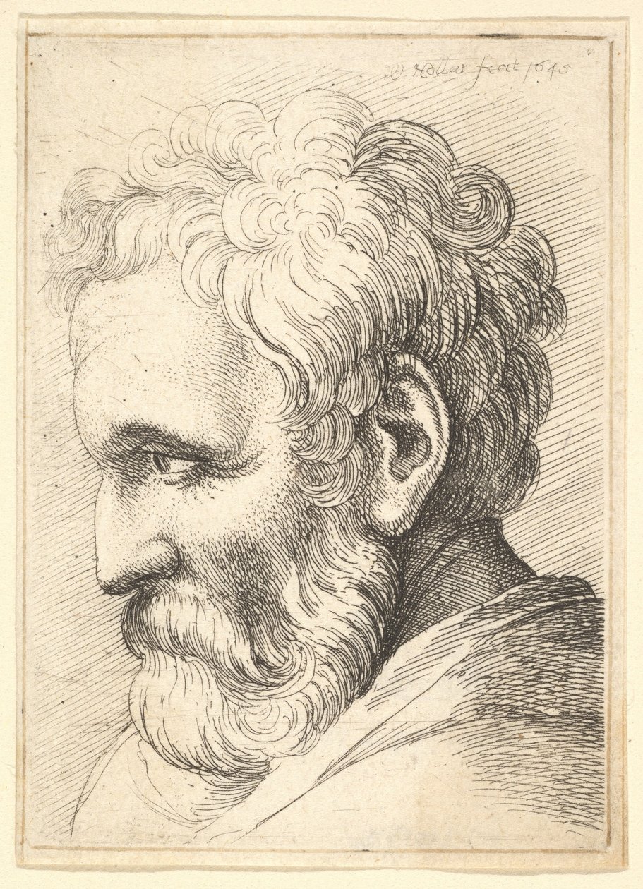 Parrakas vanha mies, 1645. tekijältä Wenceslaus Hollar