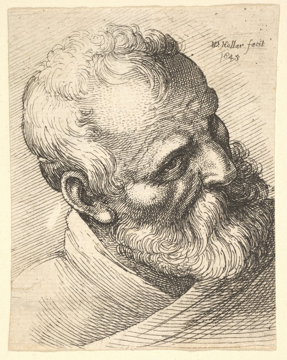 Parrakas vanha mies kallistettu pää, 1645. tekijältä Wenceslaus Hollar