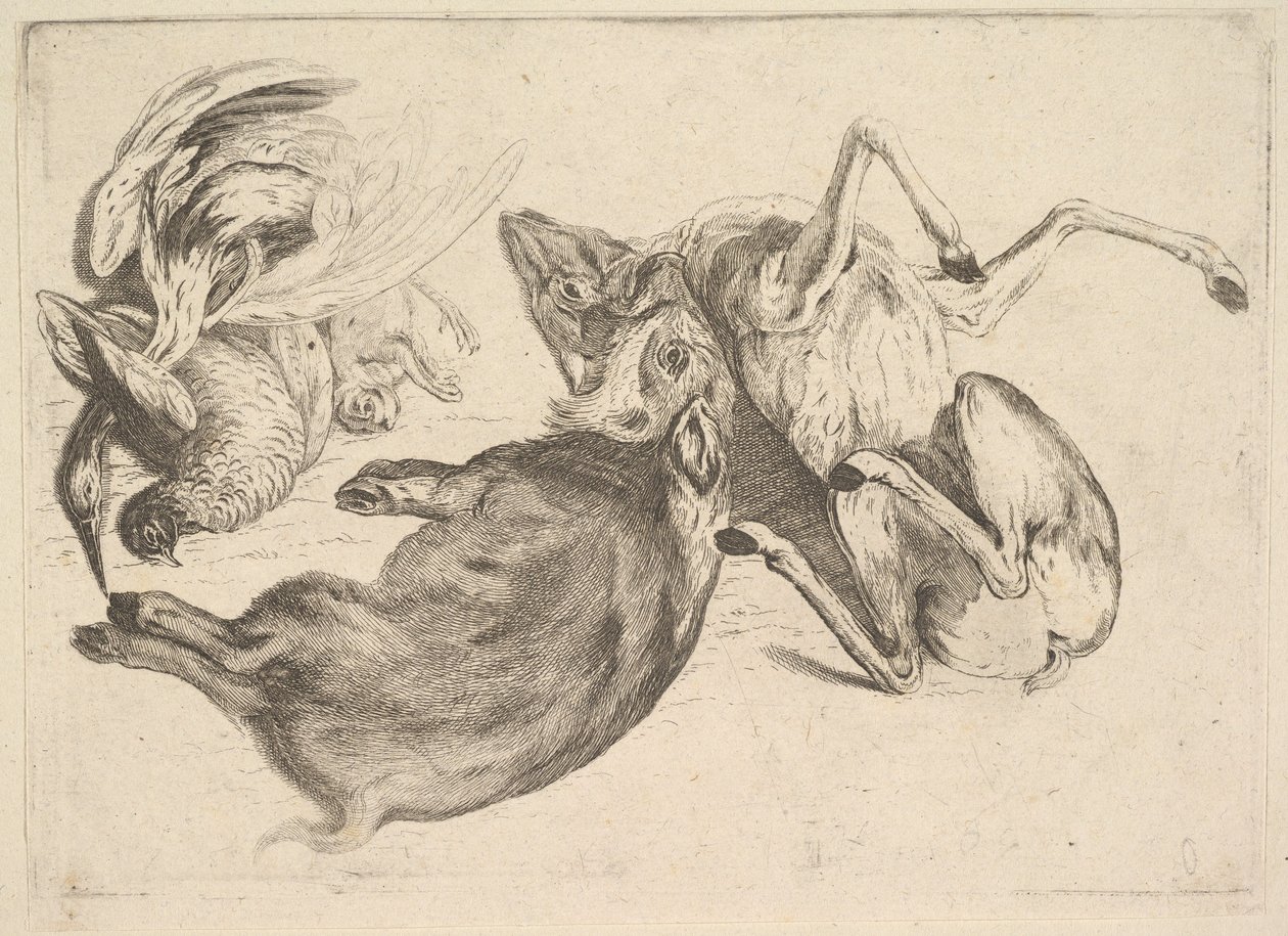 Villisiat, kauriit, haikarat ja muut riistat, 1625-77. tekijältä Wenceslaus Hollar