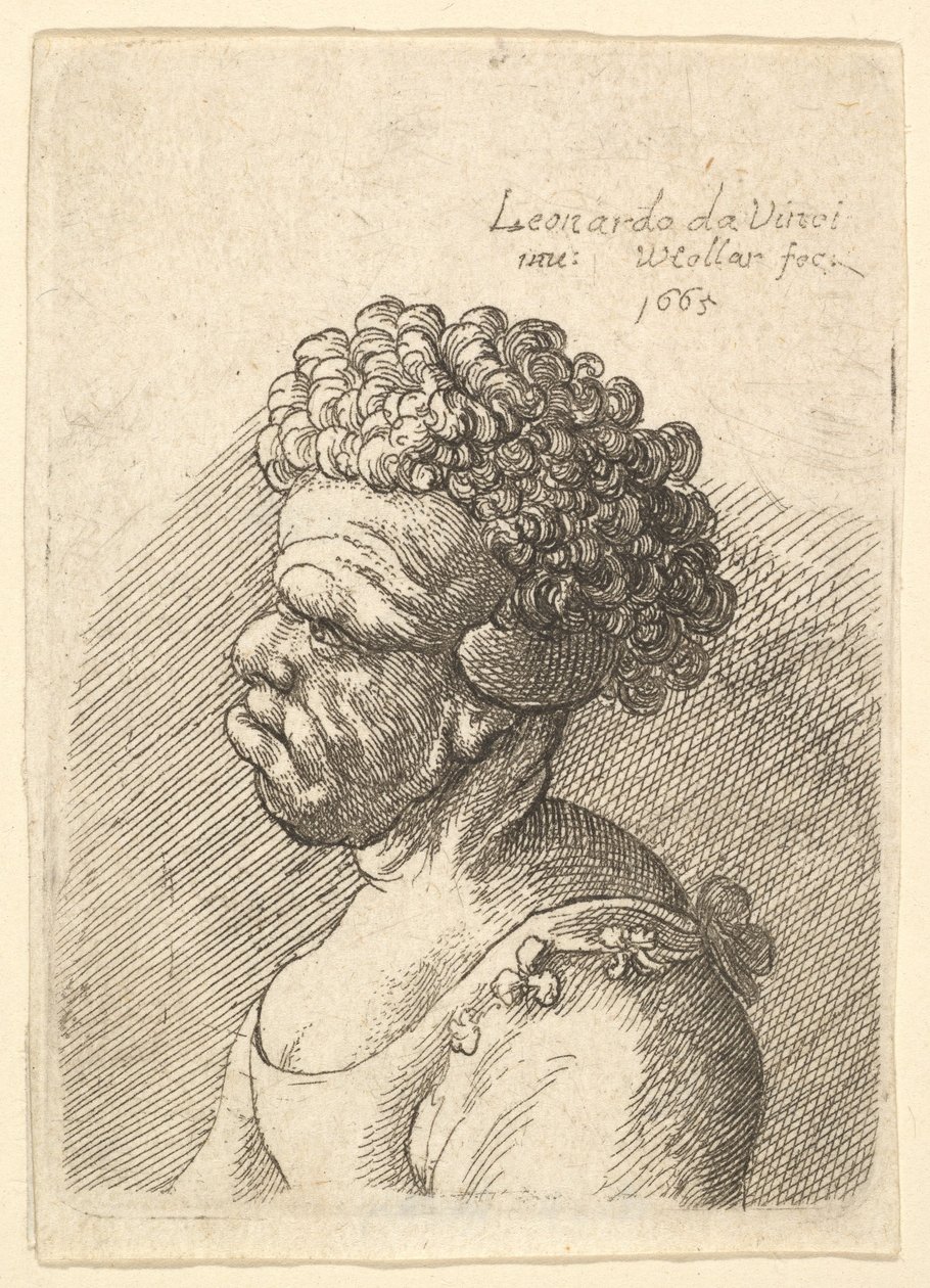 Epämuodostun naisen rintakuva kiharat hiukset vasemmalla, 1665. tekijältä Wenceslaus Hollar