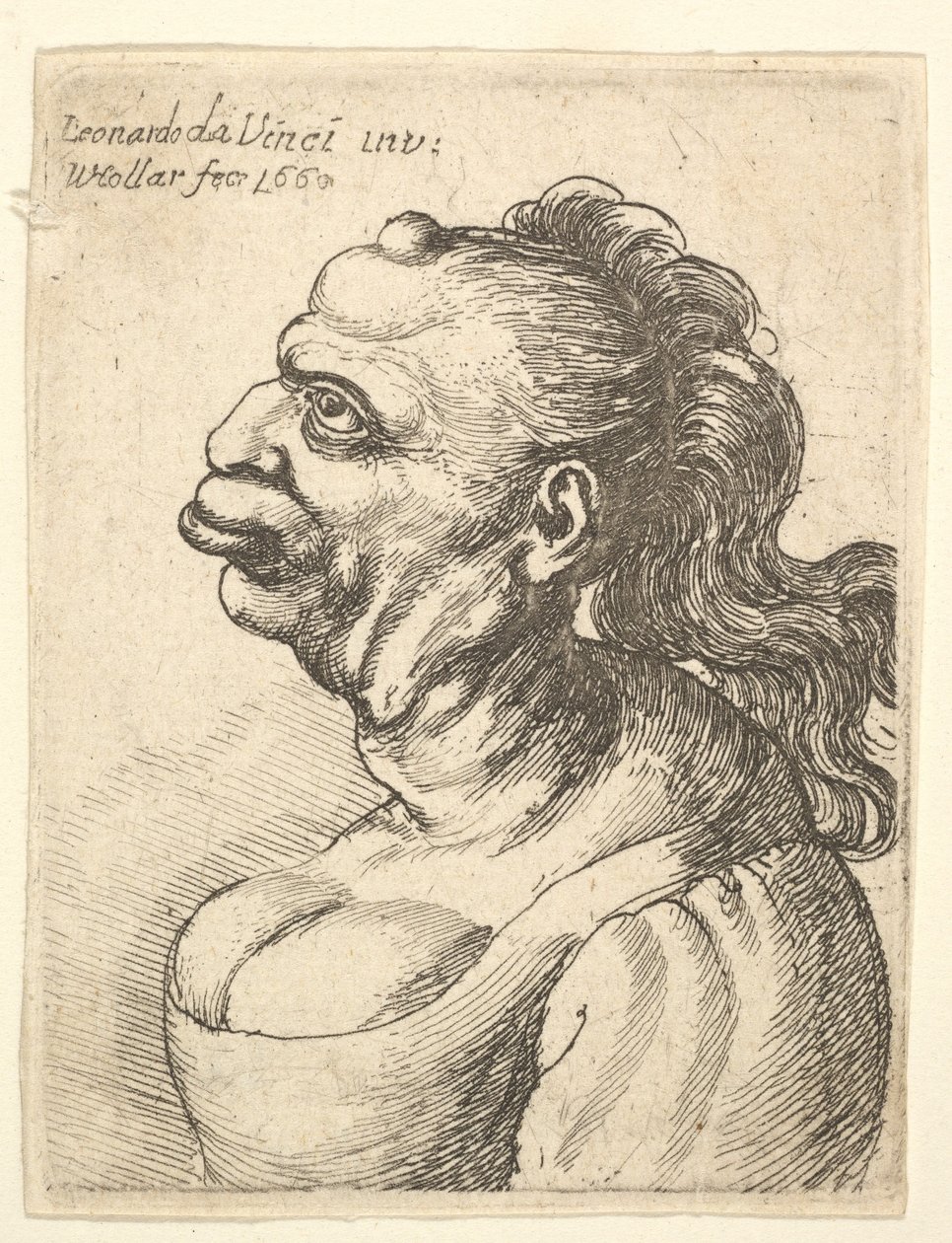 Naisen rintakuva matalassa mekossa, ulkonevat huulet, kasvua otsassa, promi..., 1660. tekijältä Wenceslaus Hollar