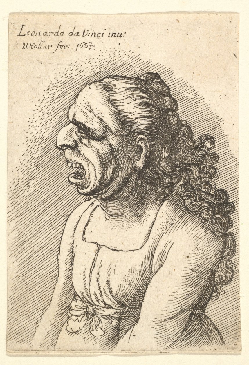 Naisen rintakuva, jolla on suu auki ja pitkät kiharat hiukset, jotka putoavat harteilleen, yllään..., 1665. tekijältä Wenceslaus Hollar