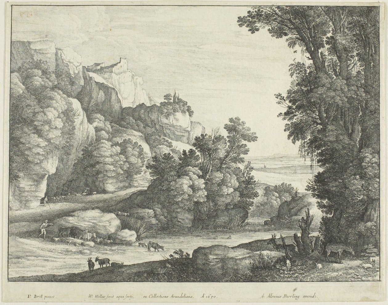 Karjan juominen tekijältä Wenceslaus Hollar