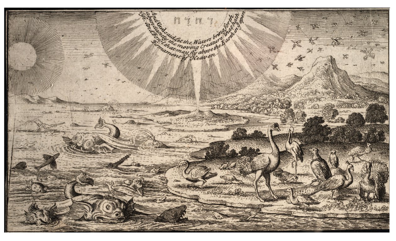Lintujen ja kalojen luominen. Valtio 1 tekijältä Wenceslaus Hollar
