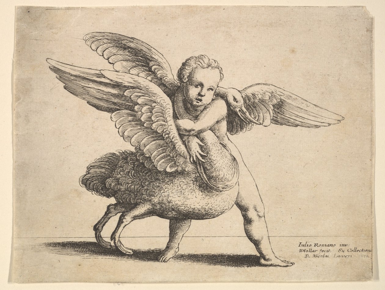 Amor ja joutsen, 1652. tekijältä Wenceslaus Hollar