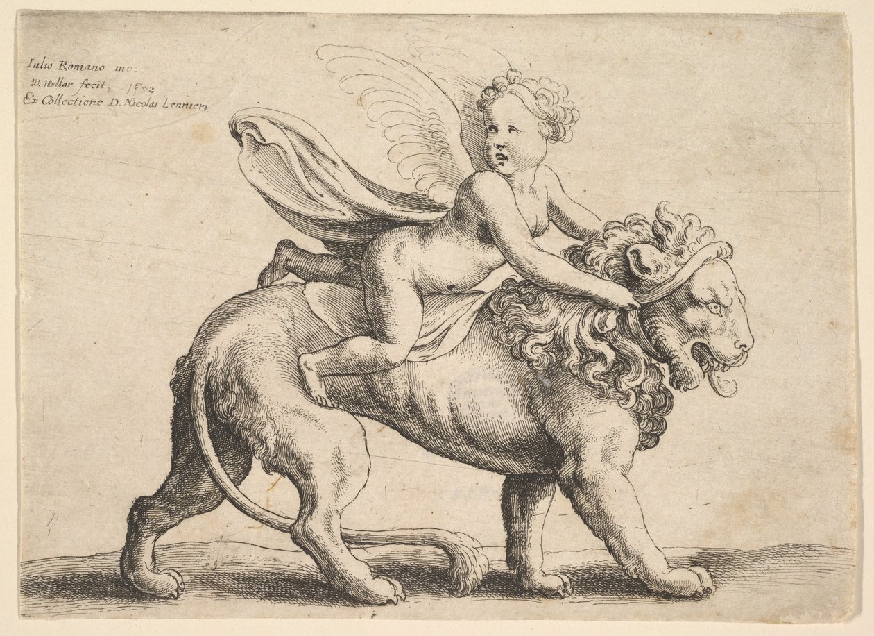Cupido leijonalla, 1652. tekijältä Wenceslaus Hollar