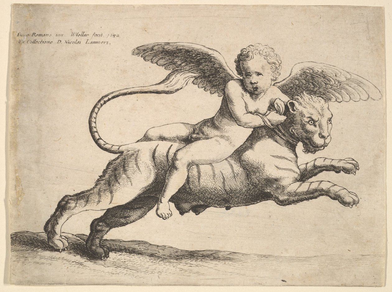 Amor tiikerillä, 1652. tekijältä Wenceslaus Hollar