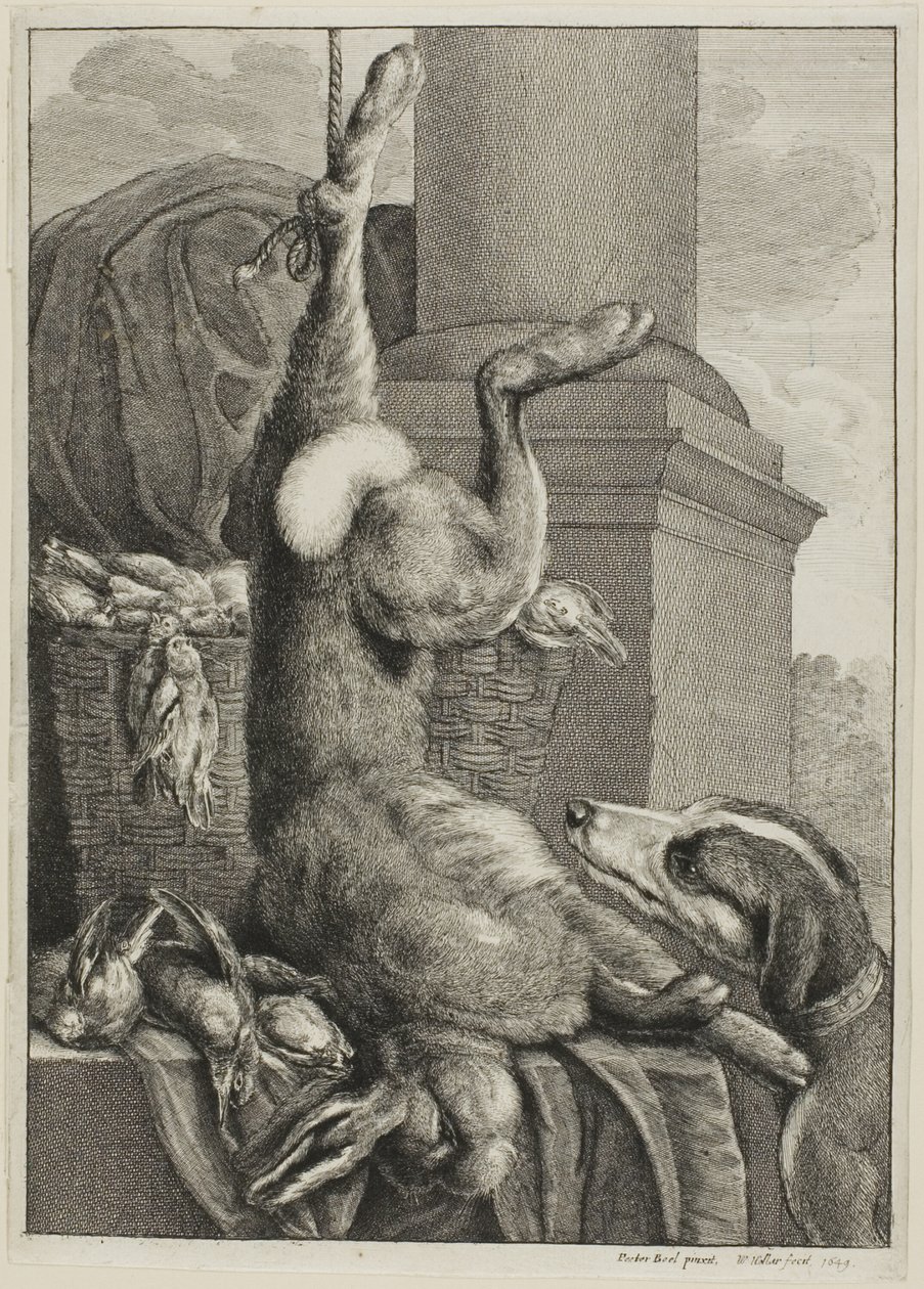 Kuollut jänis tekijältä Wenceslaus Hollar