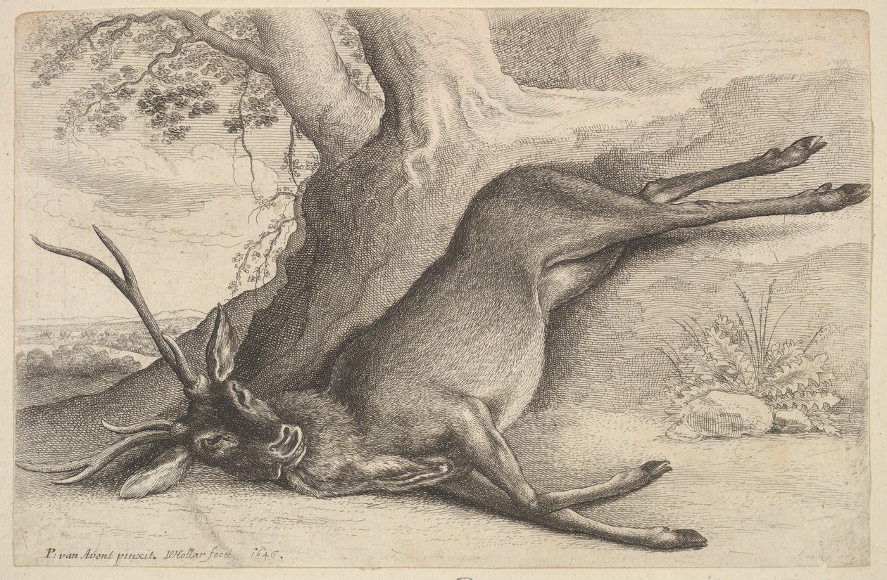 Kuollut polttarit, 1646. tekijältä Wenceslaus Hollar