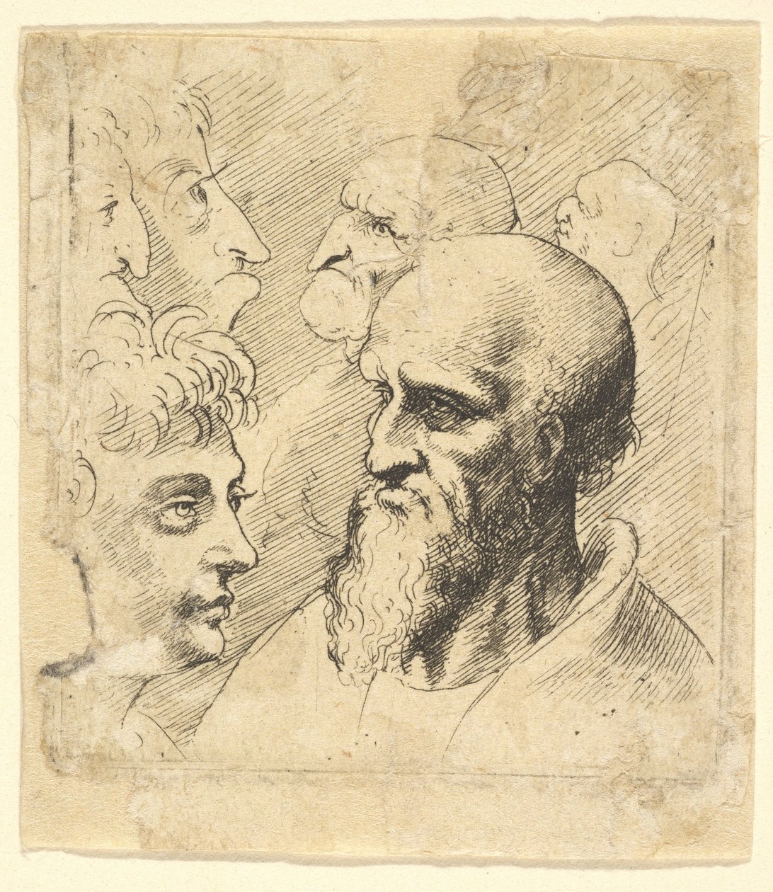 Erilaisia ​​kokeita, 1645. tekijältä Wenceslaus Hollar