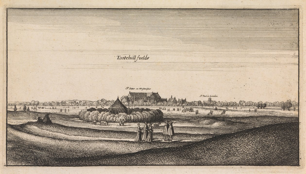 Englanninkieliset näkymät: Tootehill Fields tekijältä Wenceslaus Hollar