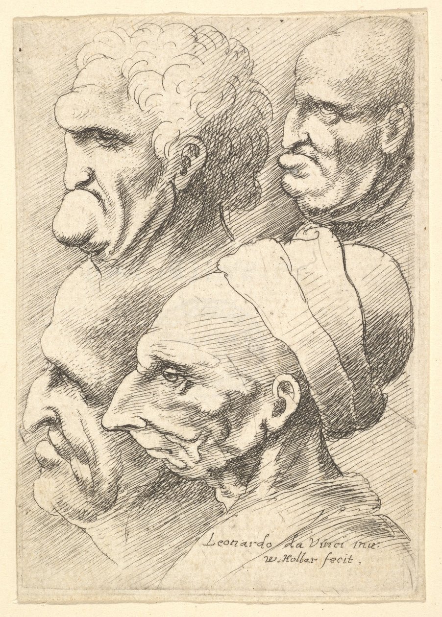 Neljä groteskipäätä profiilissa vasemmalla, 1625-77. tekijältä Wenceslaus Hollar
