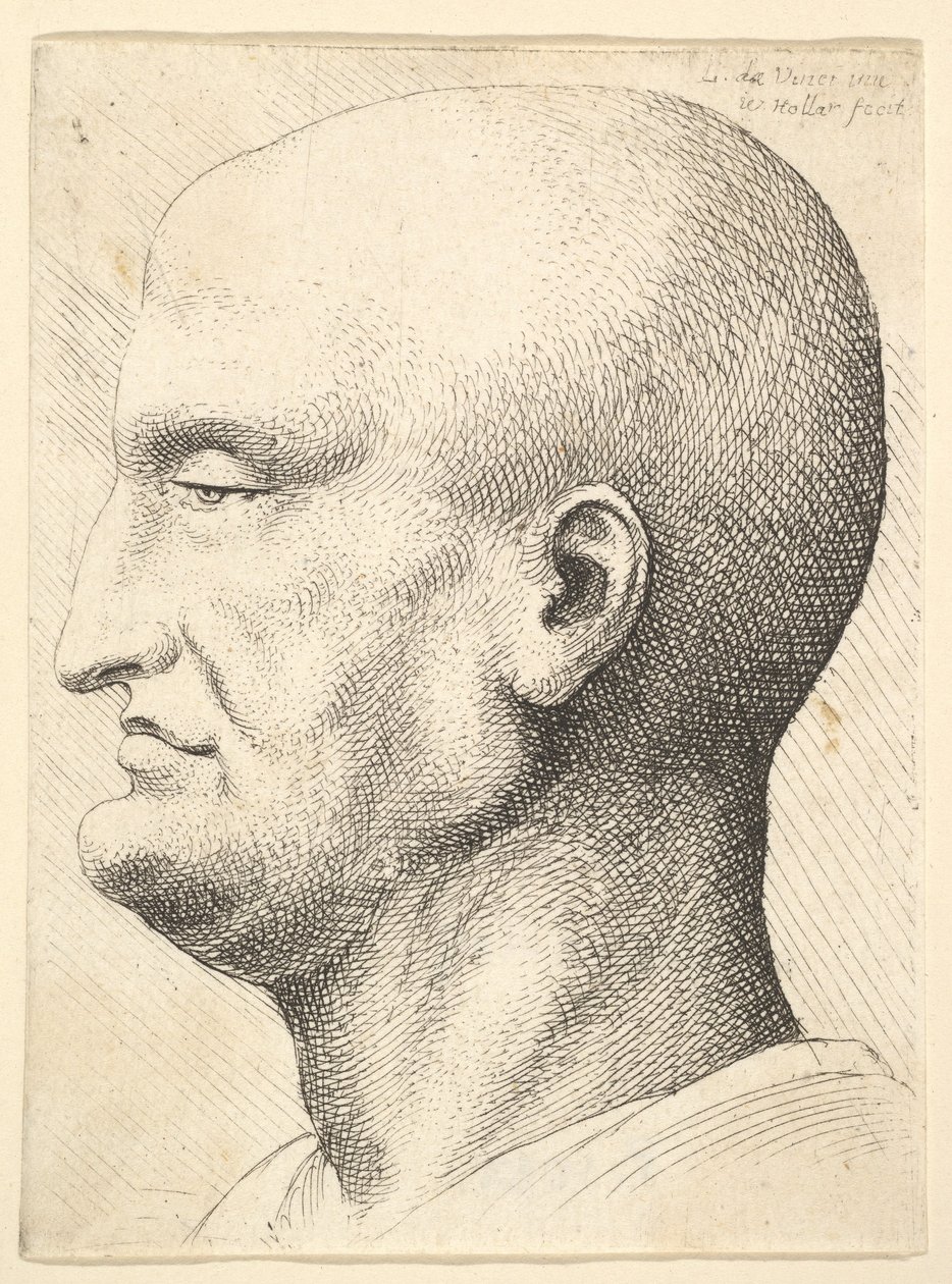 Kaljuun miehen pää profiilissa vasemmalla, 1644-52. tekijältä Wenceslaus Hollar