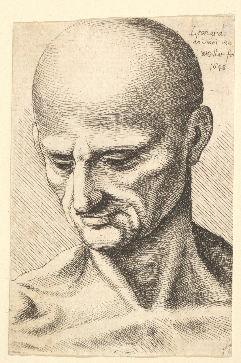 Kaljun, jäntevän miehen pää, joka katsoo alaspäin, 1648. tekijältä Wenceslaus Hollar