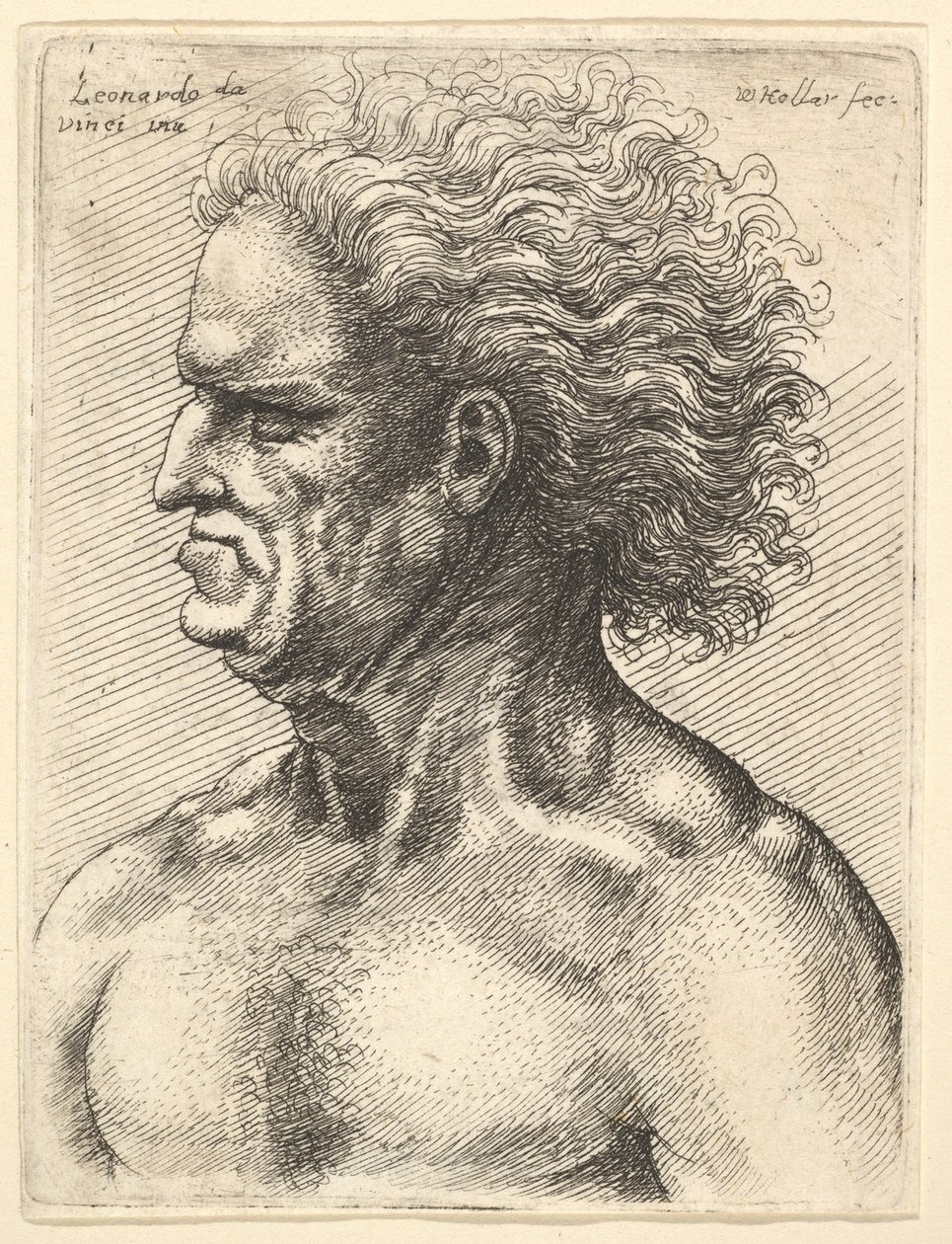 Vasemmalla vasemmalla lihaksikkaan miehen pää, 1625-77. tekijältä Wenceslaus Hollar