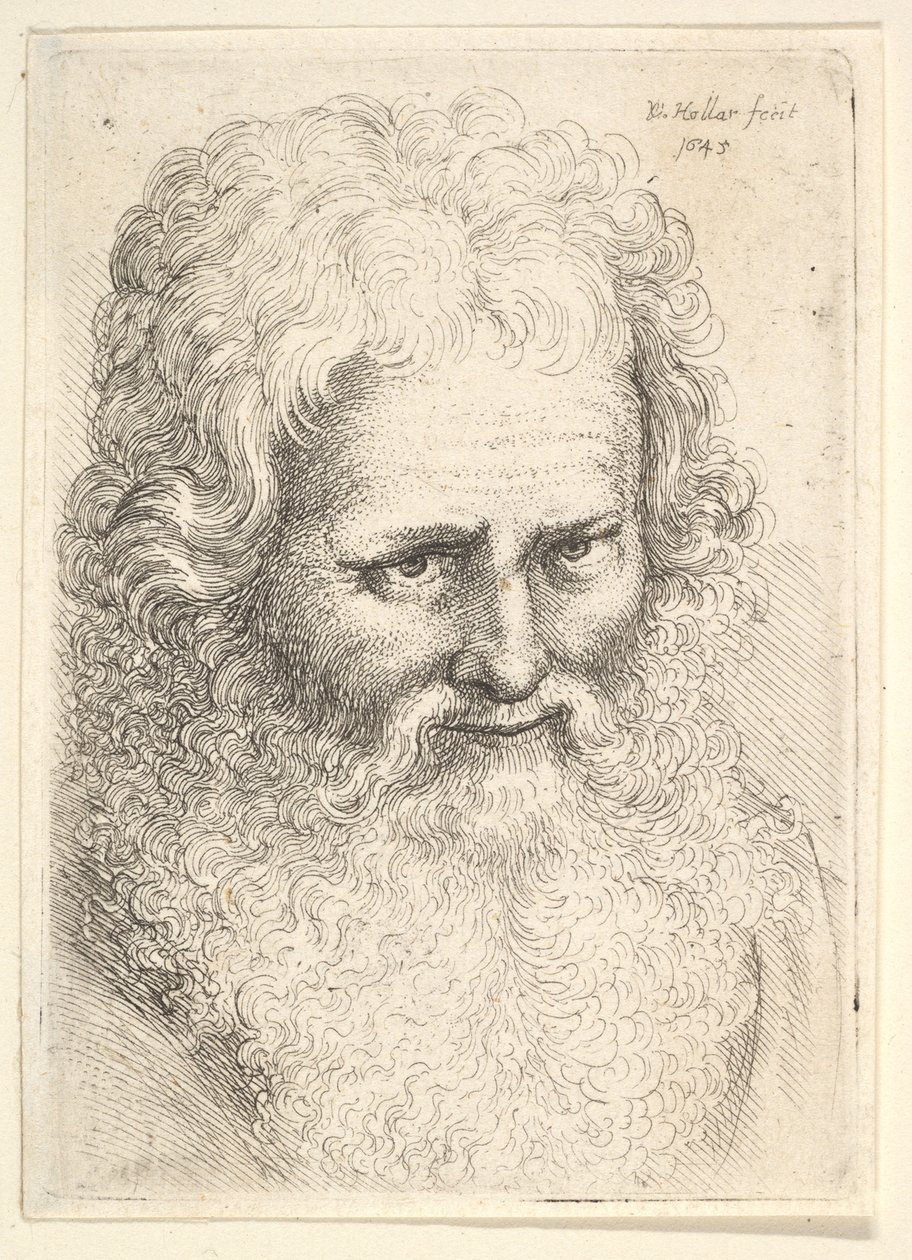Vanhan miehen pää, jolla on suuri parta, 1645. tekijältä Wenceslaus Hollar