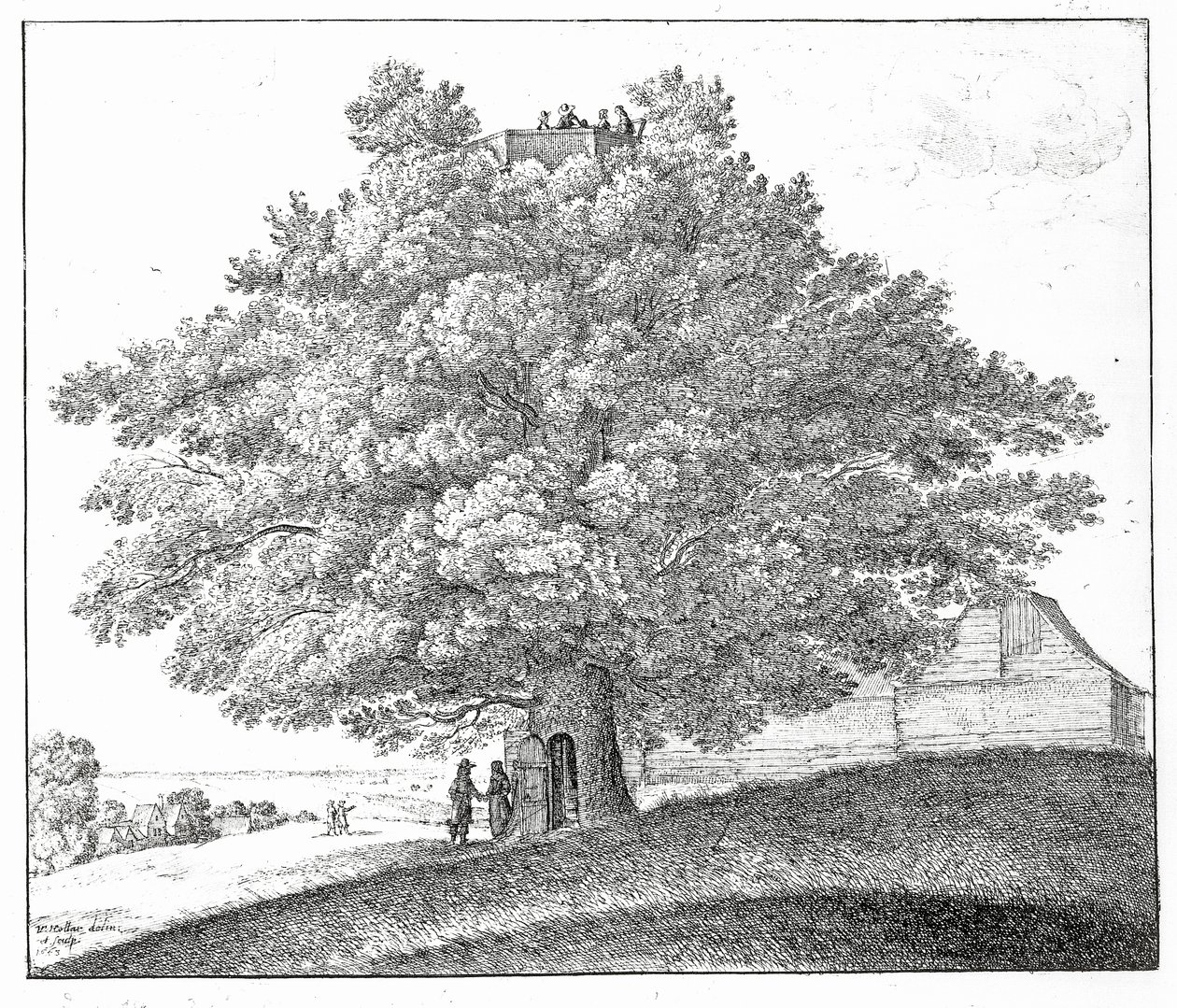 Ontto puu Hampsteadissa, 1663 tekijältä Wenceslaus Hollar