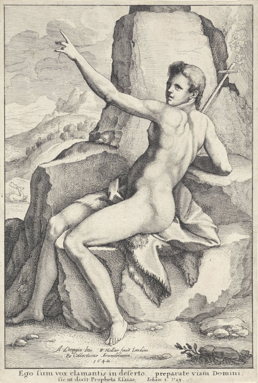 Johannes Kastaja autiomaassa tekijältä Wenceslaus Hollar