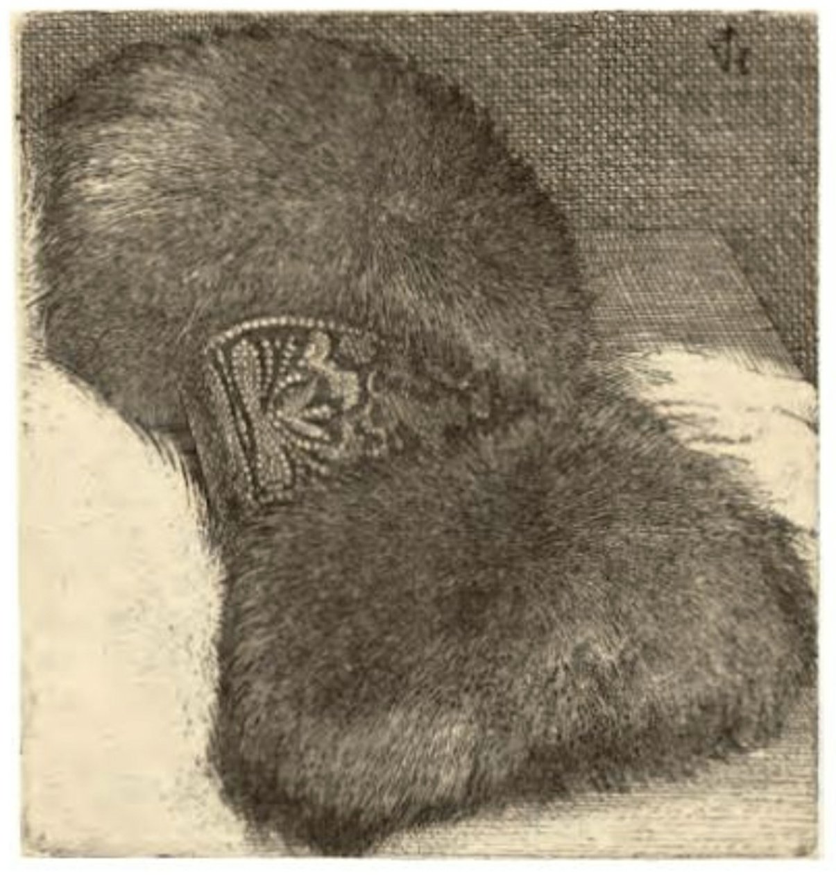 Muhvi Brocade-nauhalla tekijältä Wenceslaus Hollar