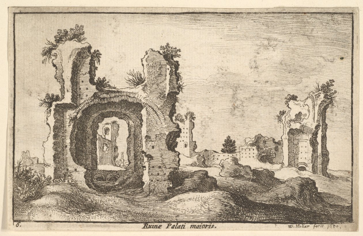 Palatinuksen palatsi, Rooma, 1650 tekijältä Wenceslaus Hollar