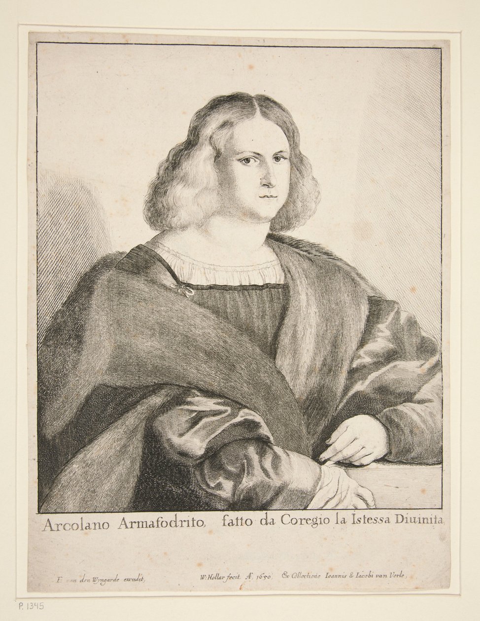 Miehen muotokuva (Arcolano Armafodrito) tekijältä Wenceslaus Hollar
