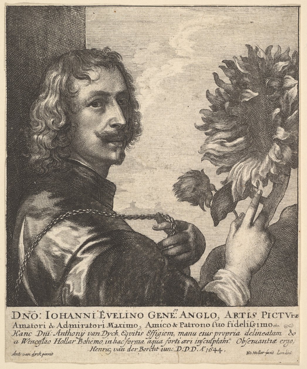 Sir Anthony van Dyck auringonkukan kanssa, 1644. tekijältä Wenceslaus Hollar