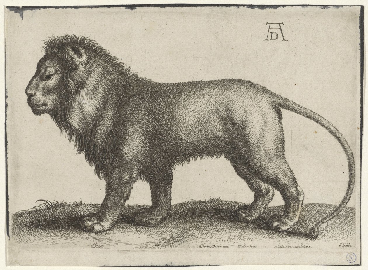 seisova leijona tekijältä Wenceslaus Hollar