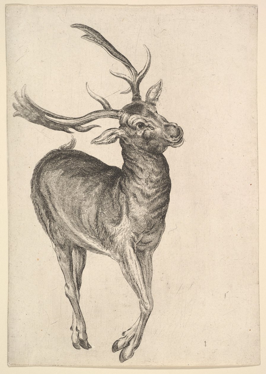 Polttarit, 1625-77. tekijältä Wenceslaus Hollar